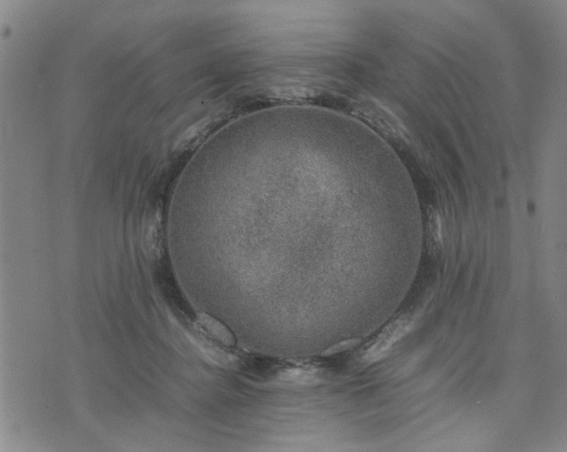 X0000074230364200609011247