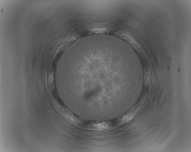 X0000074230365200609011247