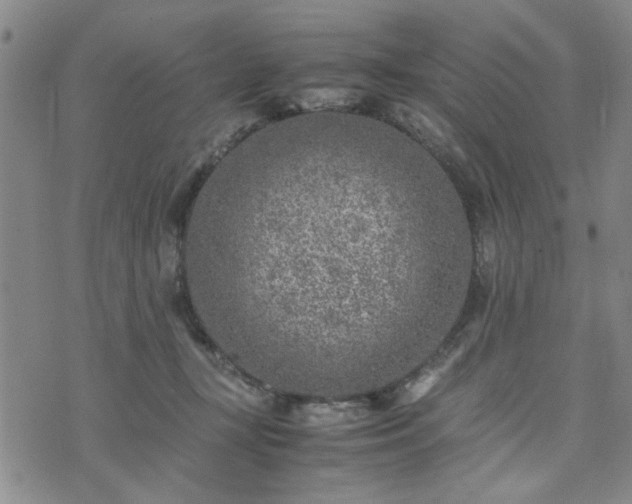 X0000074230367200609011247