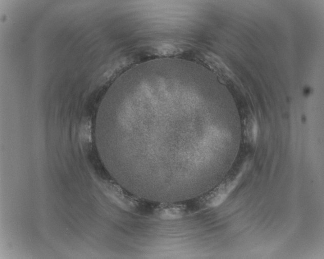 X0000074230368200609011247