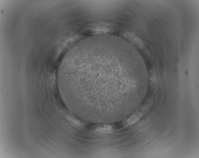 X0000074230369200609011248