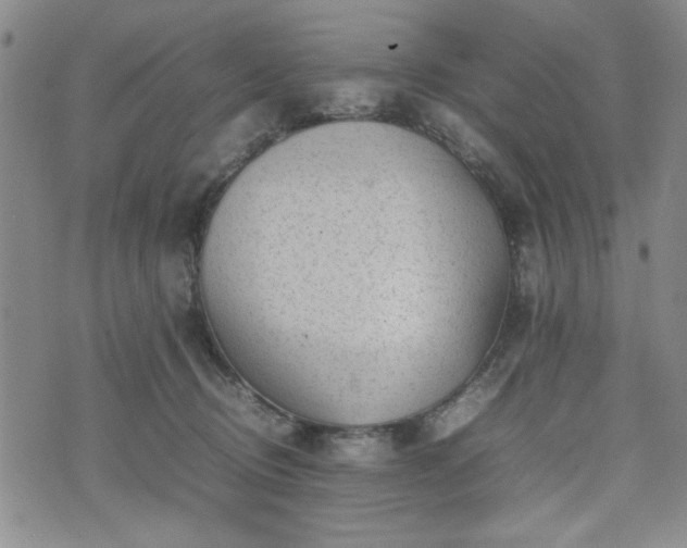 X0000074230370200609011248