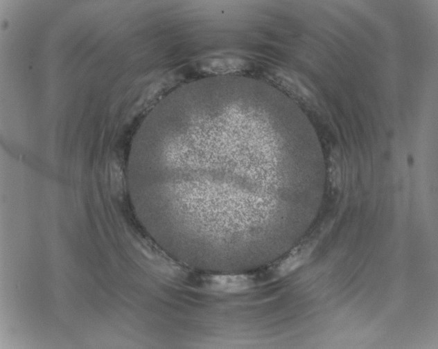 X0000074230371200609011248