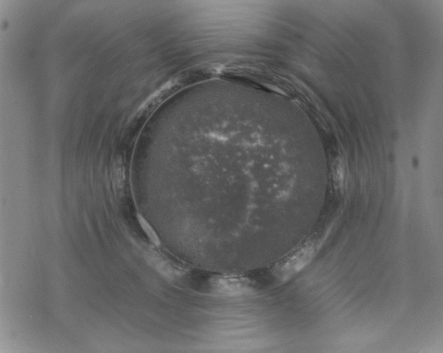 X0000074230372200609011248