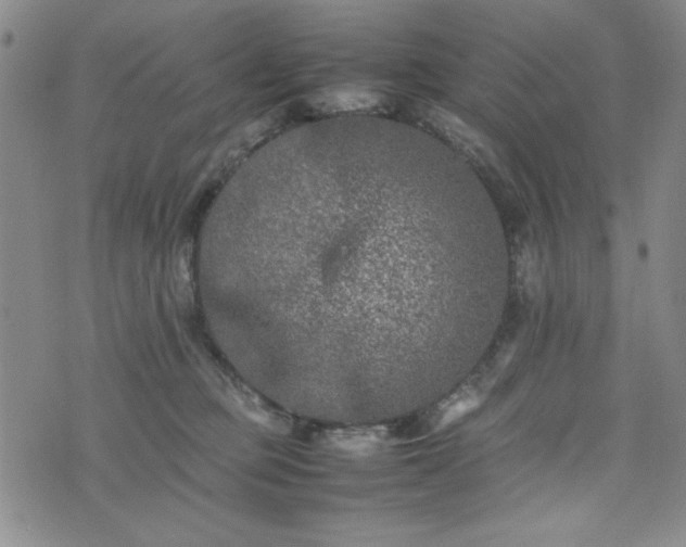 X0000074230373200609011248