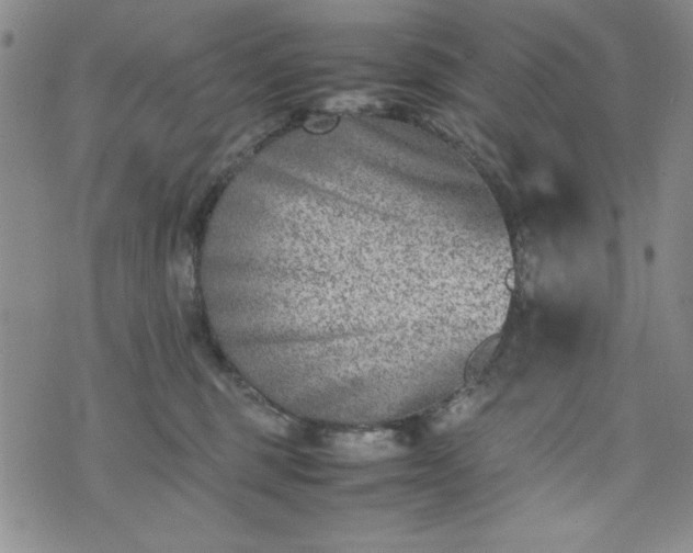 X0000074230375200609011248