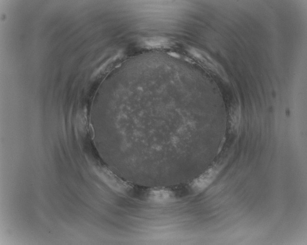 X0000074230376200609011248