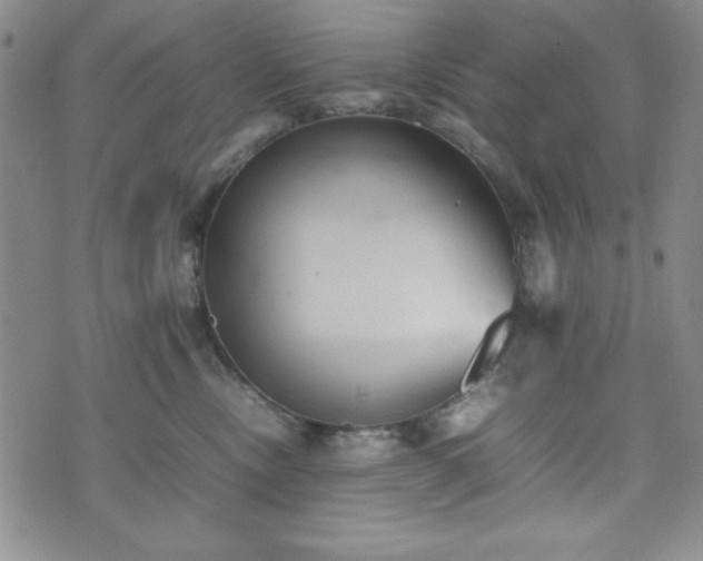 X0000074230378200609011248