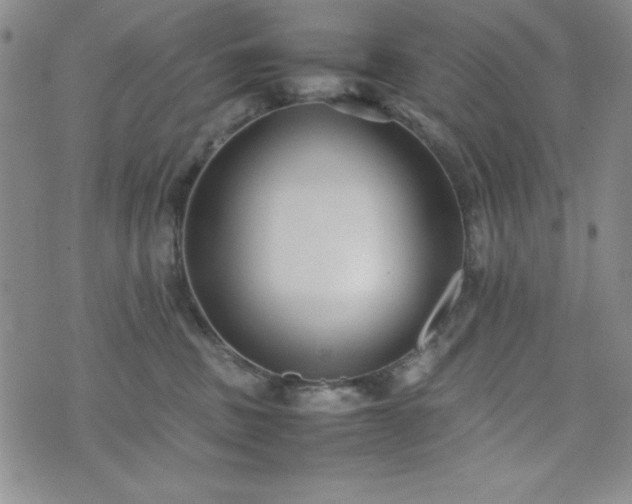 X0000074230379200609011248