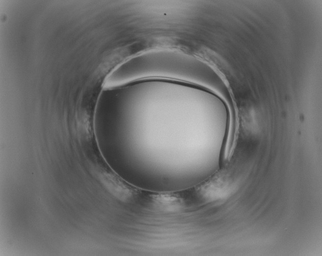 X0000074230380200609011248