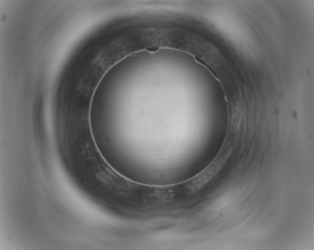 X0000074230383200609011248