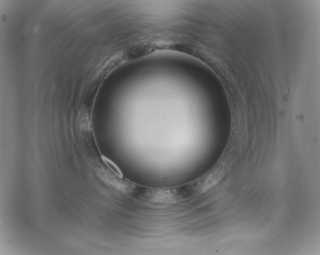 X0000074230384200609011248