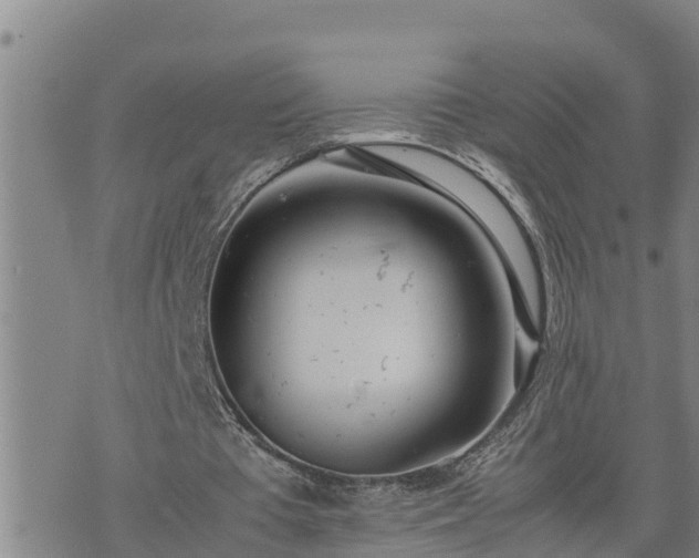 X0000074230385200609011247