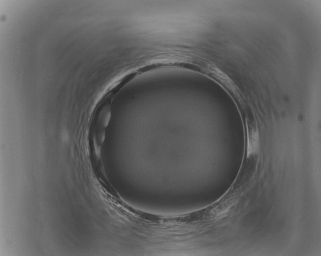 X0000074230387200609011247