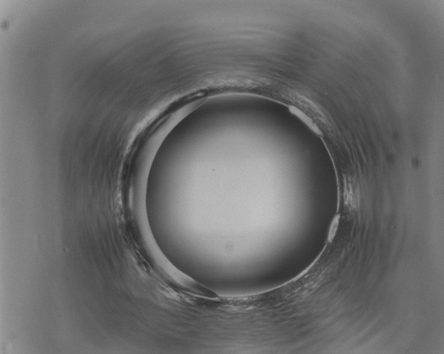 X0000074230388200609011247