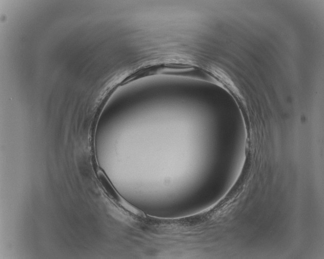 X0000074230389200609011247