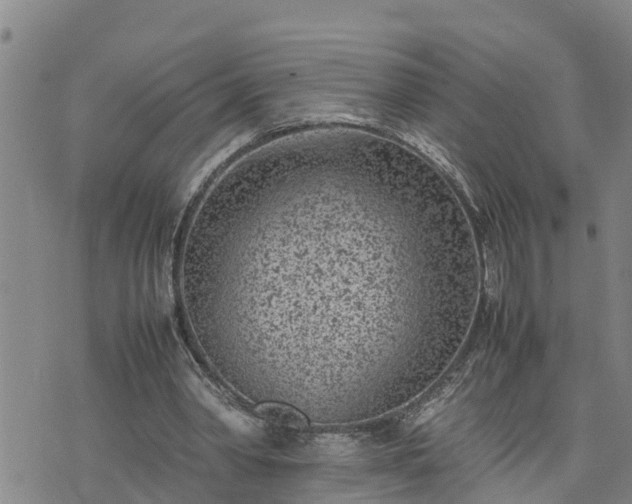 X0000074230390200609011247