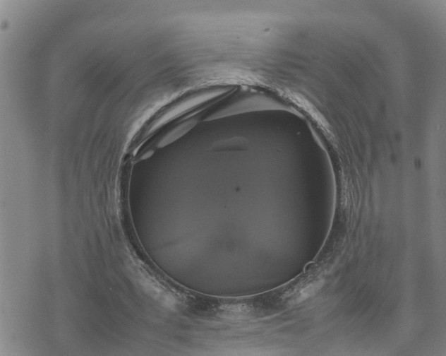 X0000074230391200609011247