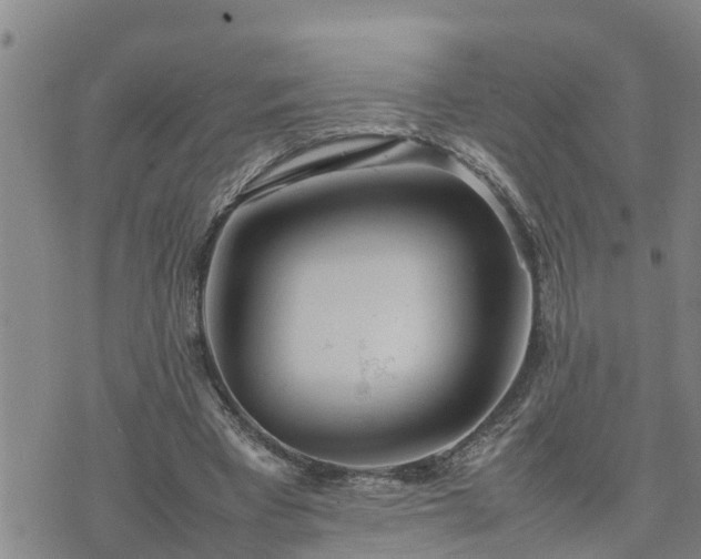 X0000074230393200609011247