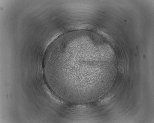 X0000074230394200609011247