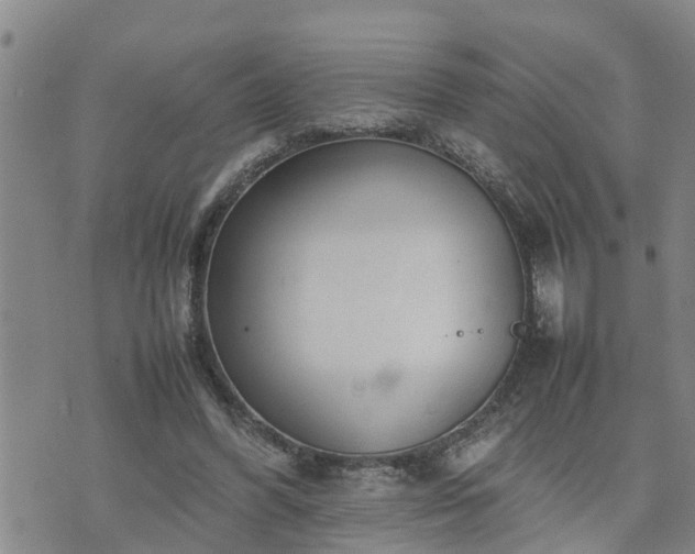 X0000074230396200609011247