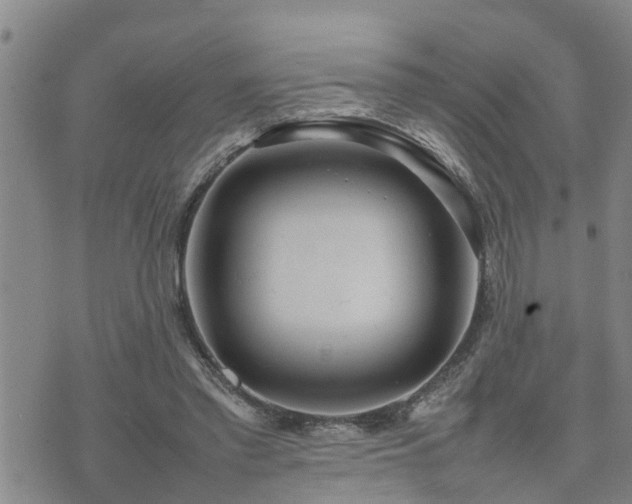 X0000074230397200609011247