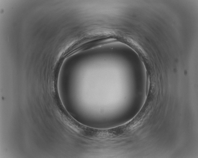 X0000074230399200609011247