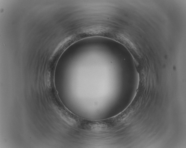 X0000074230400200609011247