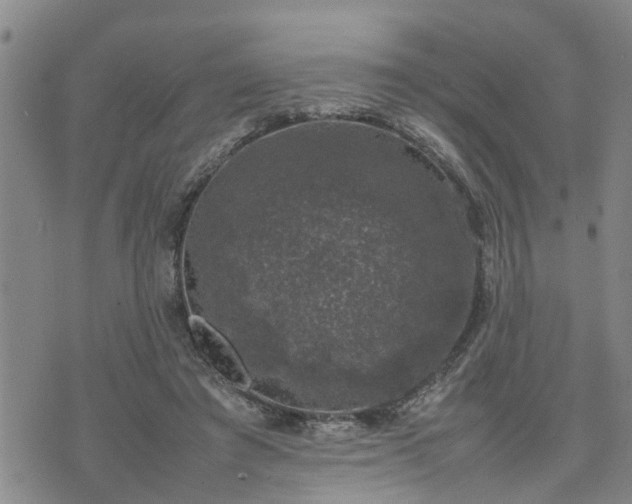 X0000074230401200609011247