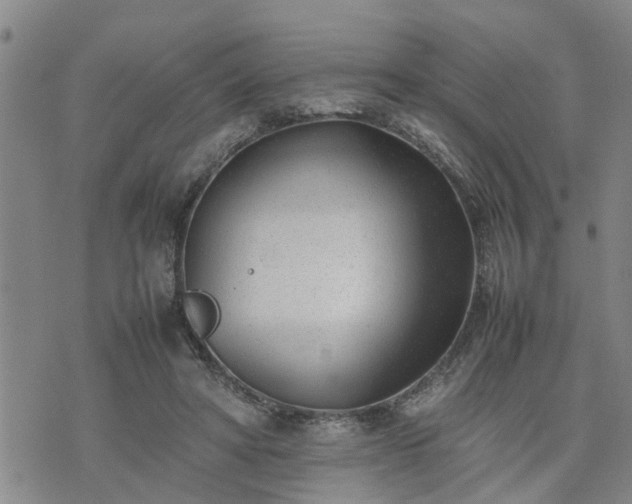 X0000074230402200609011247