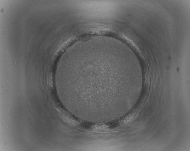 X0000074230403200609011247