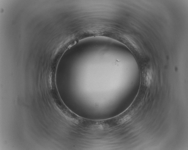 X0000074230404200609011247