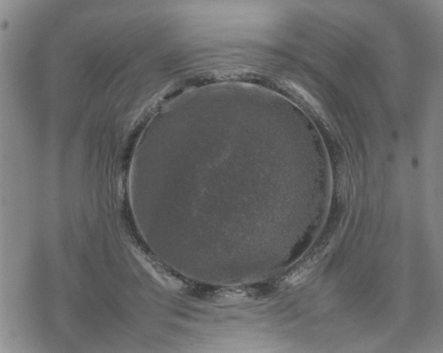 X0000074230405200609011247