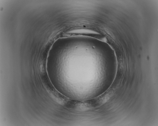 X0000074230408200609011247