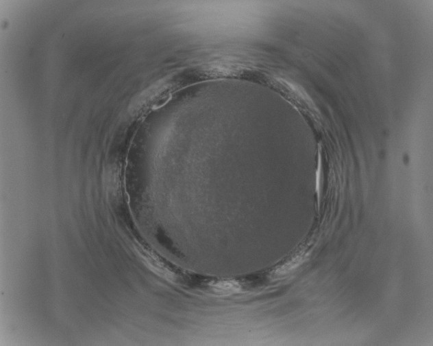 X0000074230409200609011247