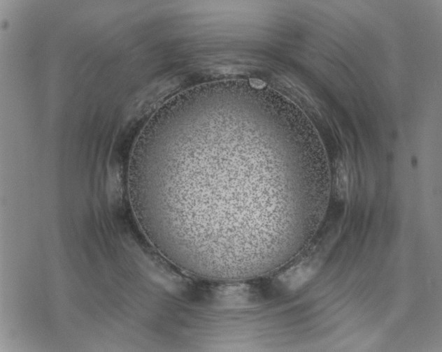 X0000074230410200609011247