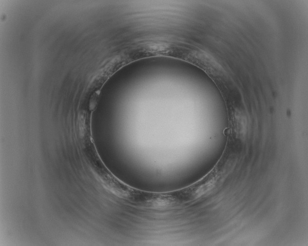 X0000074230412200609011247