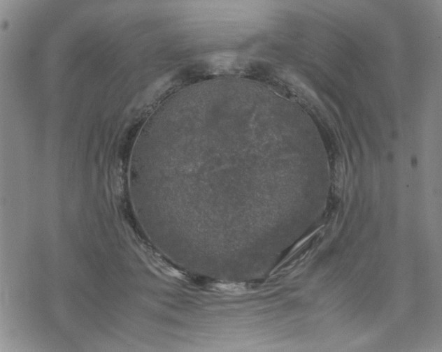 X0000074230413200609011247