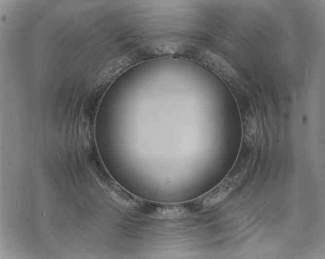 X0000074230414200609011246