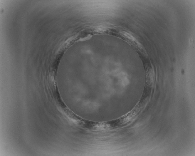 X0000074230415200609011246