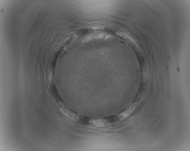 X0000074230417200609011246