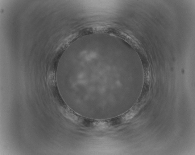 X0000074230419200609011246