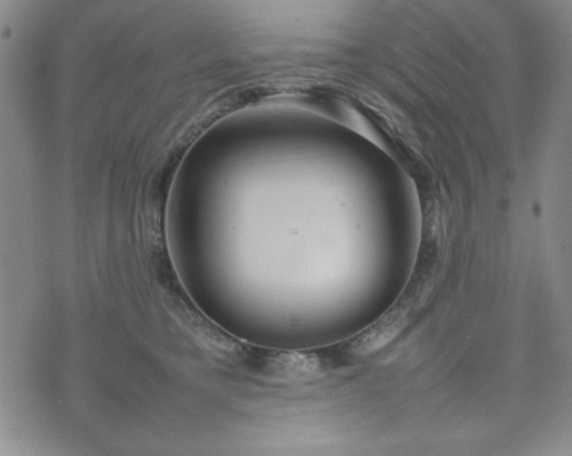 X0000074230421200609011246