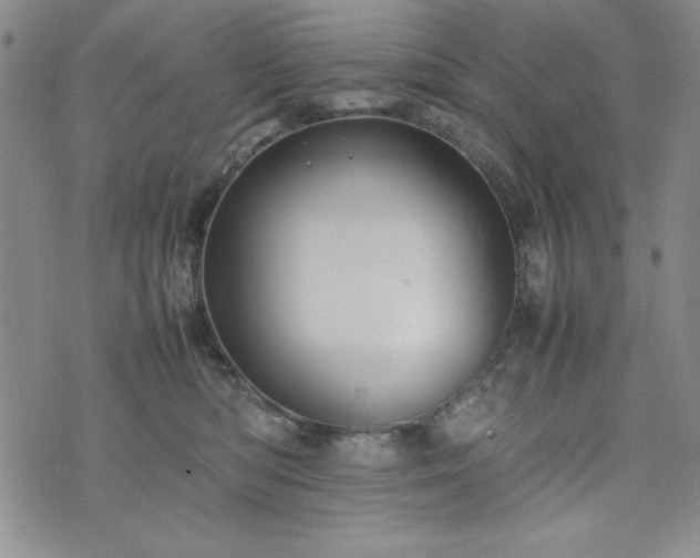 X0000074230422200609011246