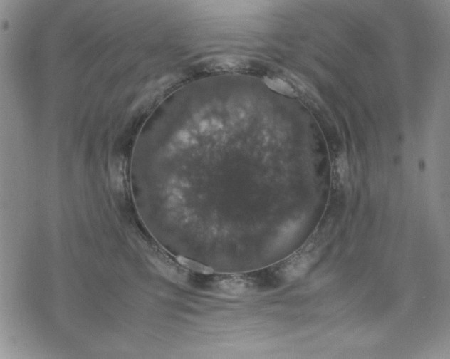 X0000074230423200609011246