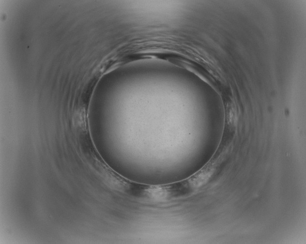 X0000074230425200609011246