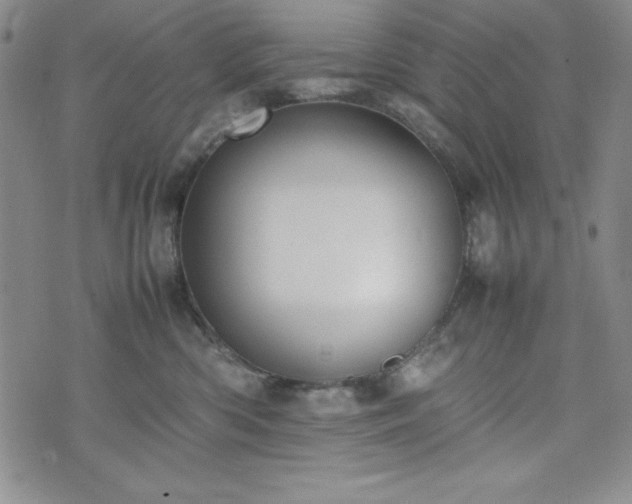 X0000074230426200609011246