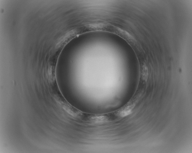 X0000074230428200609011246