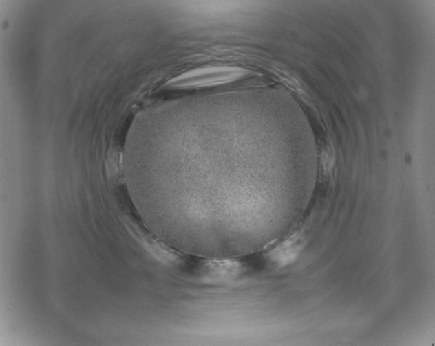 X0000074230429200609011246