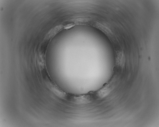 X0000074230430200609011246